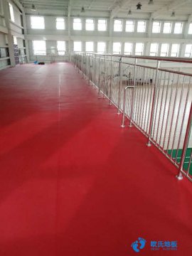 運(yùn)動木地板，現(xiàn)代體育場館設(shè)施必備-楊柏林