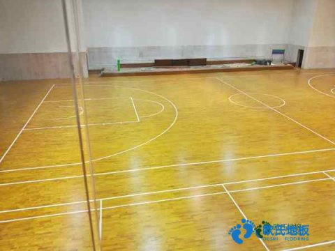 楓樺木籃球場木地板清潔保養