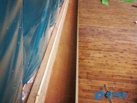 單龍骨運動體育地板保養