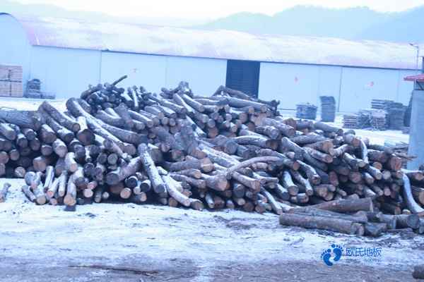 較好的籃球運(yùn)動木地板常見問題