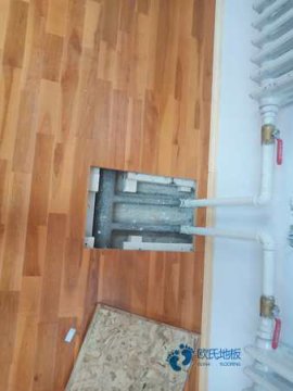 校園運動木地板