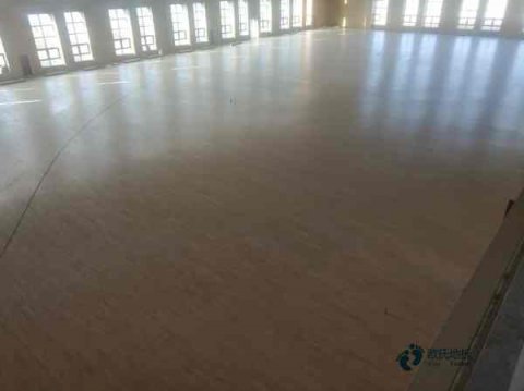 彈性運(yùn)動體育木地板