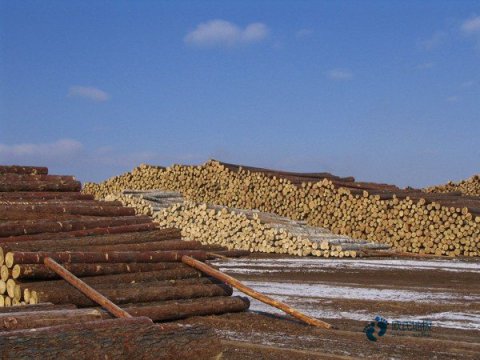 購(gòu)買籃球場(chǎng)地木地板品牌排行榜