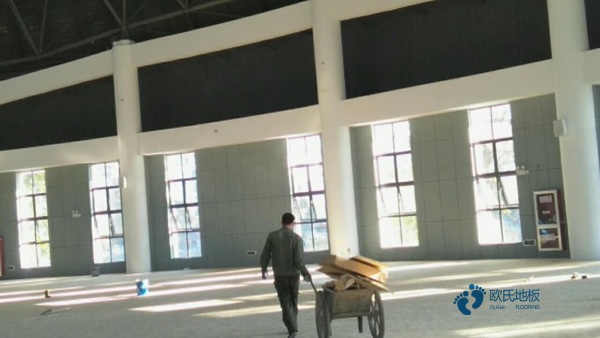 22mm厚運(yùn)動(dòng)場(chǎng)館木地板哪個(gè)牌子較環(huán)保1